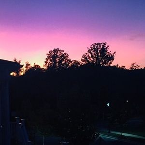 Meet your Posher, Bayley